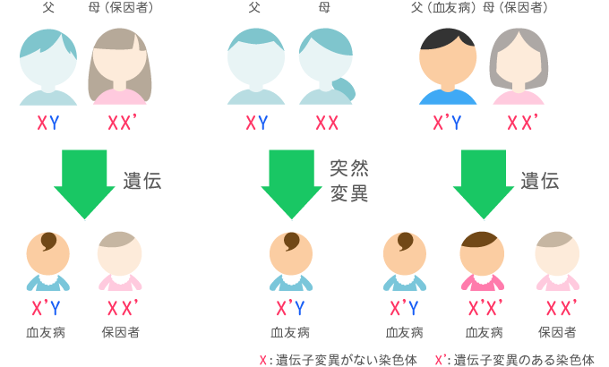 遺伝　突然変異