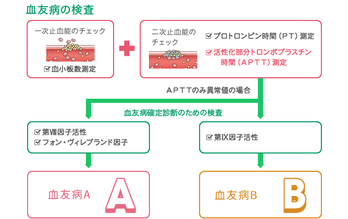出血が止まりにくいかどうかを検査