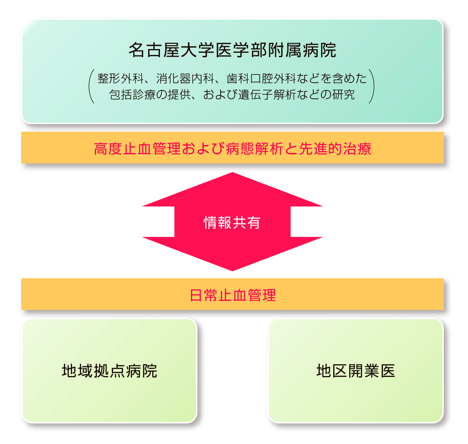 東海地方(愛知、岐阜など)の血友病診療ネットワークのフローチャート