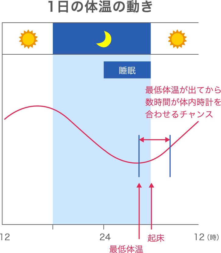 1日の体温の動きの図